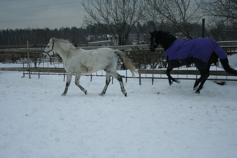 IMG_1548.jpg1.jpg"%20height="533"%20width="800